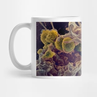 MRSA ingestion by white blood cell, SEM (C021/7464) Mug